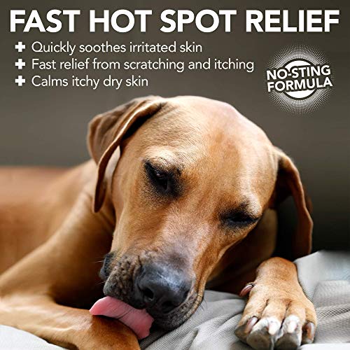 Vet's Best Perro Punto Caliente Itch Relief Foam | Alivia la piel seca del perro, la erupción, rasguño, lamer, la piel con picazón y puntos calientes. Sin picaduras y sin alcohol, 470ml