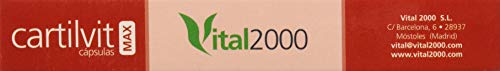 Vital 2000 Cartilvit Max 60 Capsulas - 1 Unidad