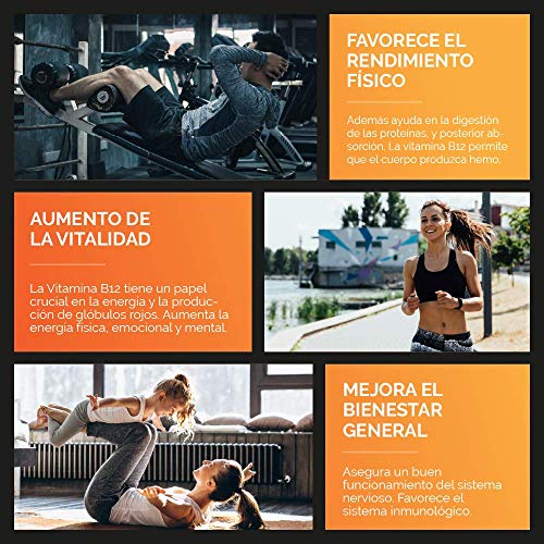 Vitamina B12 Navit Plus | 120 Cápsulas vegetales. Complemento alimenticio con B1, B2, B3 y B6, esenciales para el óptimo cuidado de la salud. Complejo vitamínico natural. Fabricado en España. ISO9001