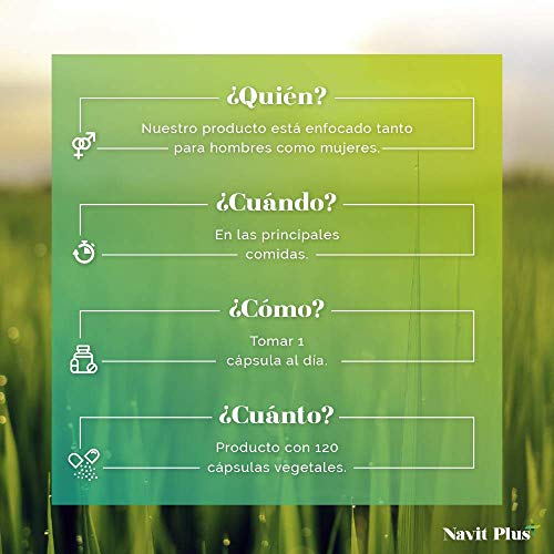 Vitamina B12 Navit Plus | 120 Cápsulas vegetales. Complemento alimenticio con B1, B2, B3 y B6, esenciales para el óptimo cuidado de la salud. Complejo vitamínico natural. Fabricado en España. ISO9001