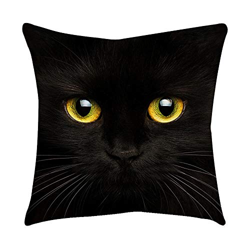 VJGOAL Moda Lindo Negro Ojos de Gato impresión en casa Decorativo Suave sofá cómodo Cojín Cuadrado Funda de Almohada(45_x_45_cm,Negro1)