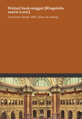 Walnut husk-maggot [Rhagoletis suavis Loew]