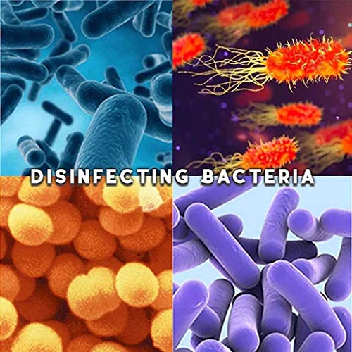 WARMWORD Algas Acuáticas Controlar Purificador Desecante Alguicida Eliminar el Olor Purificar Agua Eliminar el Agua Verde y Eliminar Algas, Seguro para Peces & Mascotas 160ml