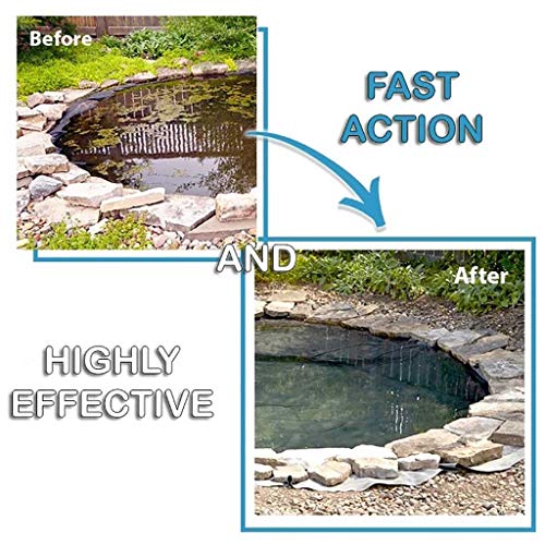 WARMWORD Algas Acuáticas Controlar Purificador Desecante Alguicida Eliminar el Olor Purificar Agua Eliminar el Agua Verde y Eliminar Algas, Seguro para Peces & Mascotas 160ml