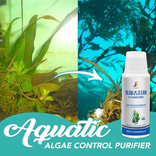 WARMWORD Algas Acuáticas Controlar Purificador Desecante Alguicida Eliminar el Olor Purificar Agua Eliminar el Agua Verde y Eliminar Algas, Seguro para Peces & Mascotas 160ml