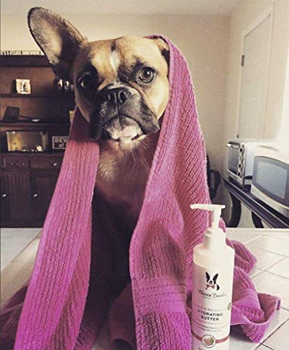 Warren London - Mantequilla hidratante para Perros, Guava y Mangos (8oz)