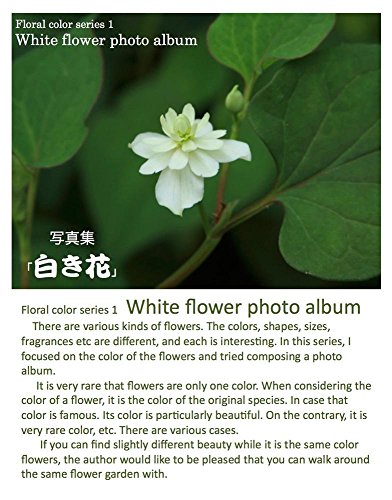 White flower photo album (Floral color series Book 1) (English Edition)