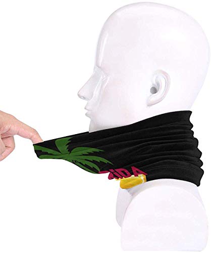 WlQshop Calentadores de Cuello Florida Summer Neck Warmer Scarf Gaiter Mascarilla Bufandas For Dust Cold Weather Winter Outdoors Festivals Sports For Men And Women