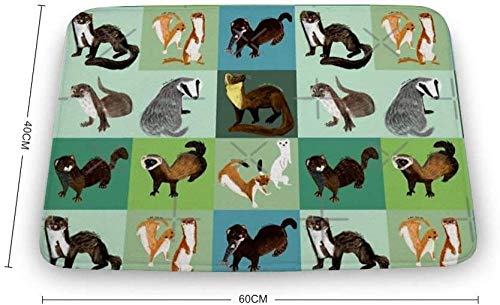 WSND Felpudo de Interior Suave Los Mejores Nueve mustelidos de España Alfombrillas de Puerta Alfombra para baño Cocina Dormitorio Entrada Alfombrillas Alfombrilla de baño Divertida