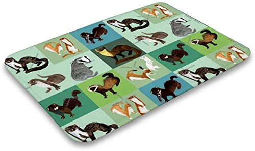WSND Felpudo de Interior Suave Los Mejores Nueve mustelidos de España Alfombrillas de Puerta Alfombra para baño Cocina Dormitorio Entrada Alfombrillas Alfombrilla de baño Divertida