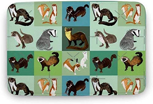 WSND Felpudo de Interior Suave Los Mejores Nueve mustelidos de España Alfombrillas de Puerta Alfombra para baño Cocina Dormitorio Entrada Alfombrillas Alfombrilla de baño Divertida