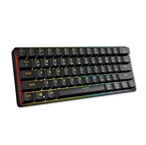 XIUYU Friki GK61 60% Mini Teclado 61Keys mecánico Tipo-c programable Gaming (Switch, Azul) (Color: Azul, tamaño: Interruptor Gateron)