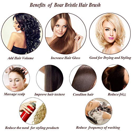 Xrten 2 Pcs Cepillos de Pelo Redondos Profesionales con cerdas de jabalí Naturales para Cabello, 2inch y 1.6inch