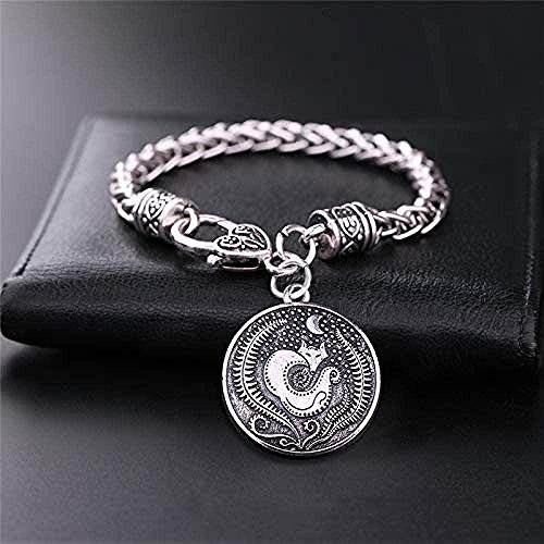 Yiffshunl Pulsera Joyas de Animales para Adolescentes Pulsera de dijes Pulsera de Cadena de Trigo Longitud de Cadena 20Cm Pulsera para Mujer para Hombre Brazalete Regalo para Hermana