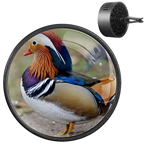 Yumansis Amor pájaros Animales Negro 2 Coche difusor aromaterapia Aromas Universal aceites Esenciales esencias aroflora（5 fragancias para Elegir ） Almizcle Blanco