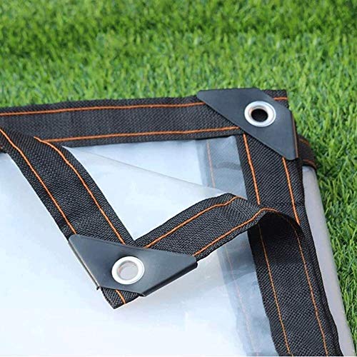 YYLNB Lona Impermeable for Trabajo Pesado, 118g / m² Claro, Rip Tear Prueba Lona, ​​Apto for Granja, Jardín, Body Shop, Garaje, Astillero y Ocio Uso, tamaños múltiples! (Size : 2x3m)