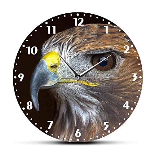 YYZCM Reloj de Pared acrílico Golden Eagle Prints Reloj de Pared Decorativo Silent Non Ticking Bird Prey Nature Raptor Wall Art Decoración para el hogar Frameless Wall Watch