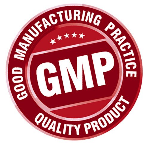 Zestlife Jalea Real 500 mg de Jalea Real fresca - Los estudios han demostrado los beneficios de los antibióticos, anti -inflamatorios y la cicatrización de heridas