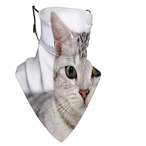 Zeyustge cat face striped opinion concern x Bandana Neck Gaiter Shield Face Scarf Bandanas Windproof for Men & Women