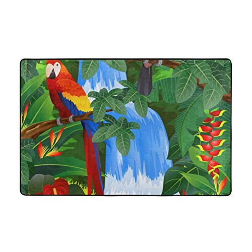 ZUL Alfombrilla baño, Alfombra de Cocina Puerta Pies Estera Felpudo,Guacamayo y tucán posados ​​en Las Ramas Fauna exótica de Las Selvas Tropicales de Estados Unidos, 75X45cm