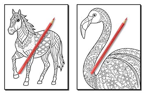 100 Animals: An Adult Coloring Book with Lions, Elephants, Owls, Horses, Dogs, Cats, and Many More!