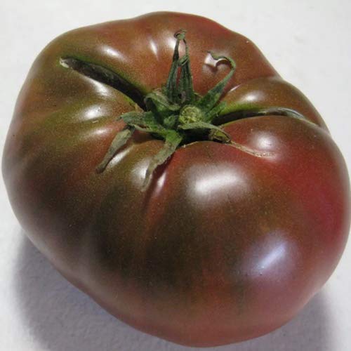 20 semillas de Tomate Krim Negro, de Portugal, 100 % cultivo natural, muy poco común, tamaño ideal para ensaladas y aperitivos