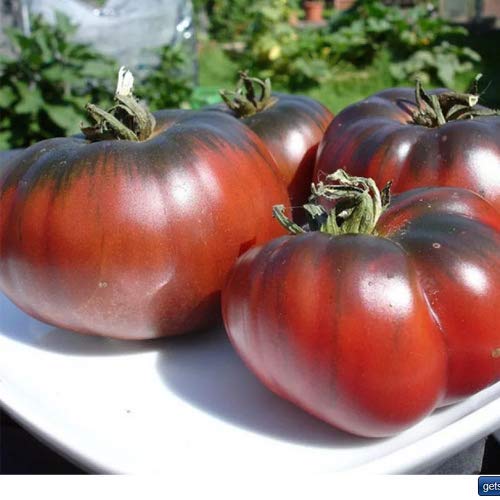 20 semillas de Tomate Krim Negro, de Portugal, 100 % cultivo natural, muy poco común, tamaño ideal para ensaladas y aperitivos