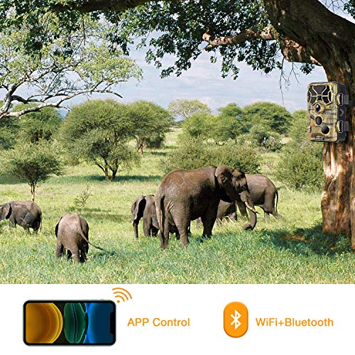 【2020 Upgrade】Campark Cámara de Caza WiFi Bluetooth 20MP 1296P Trail Game Cámara con visión nocturna activada por movimiento, al aire libre impermeable IP66