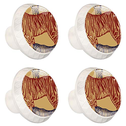 4pcs Gabinete De Armario De Vidrio Pomos De La Puerta Del Cajón Tirones De La Manija Del Tigre