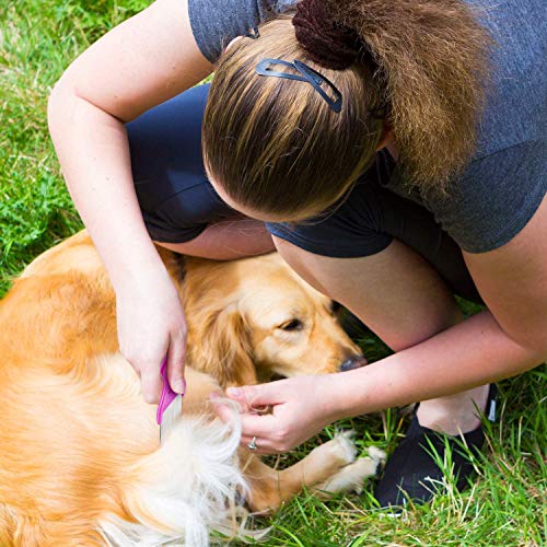 6 Piezas Peine de Piojos, Que Incluye 3 Dientes de Metal, 3 Peines de PlÁStico, Resistentes Y Duraderos Para El Cuidado, Para Limpiar La Caspa O Los Piojos (Color Aleatorio)