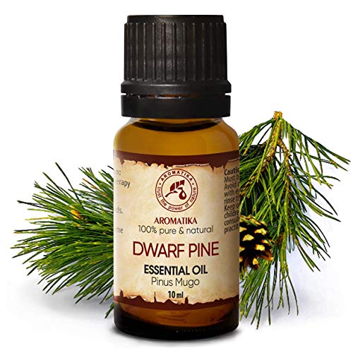 Aceite Esencial de Pino Enano 10ml - Pinus Mugo - Austria - 100% Puro & Natural para Baño - Sauna - Aromaterapia - Dwarf Pine Essential Oil