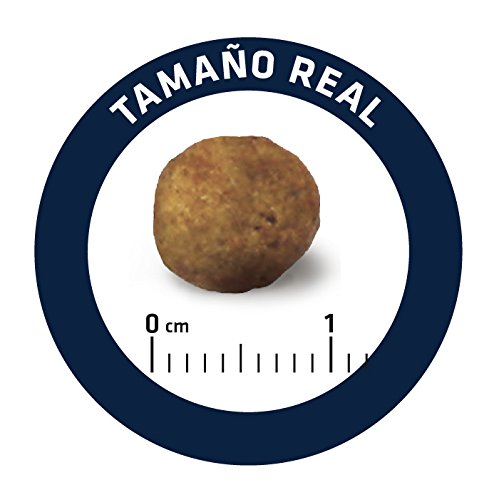 Adavnce Veterinary Diets Gastroenteric - Pienso para Perros con problemas gastrointestinales - 3 kg