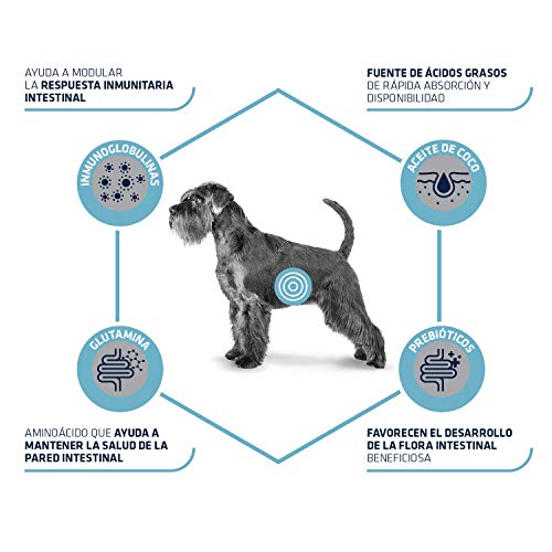 Adavnce Veterinary Diets Gastroenteric - Pienso para Perros con problemas gastrointestinales - 3 kg