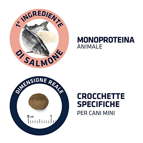 Advance Sensitive Mini - Pienso para Perros de Razas Pequeñas con Sensibilidades Digestivas con Salmón y Arroz - Pack de 1,5kg X 4 -Total 6kg