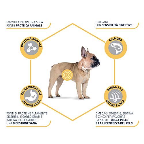 Advance Sensitive Mini - Pienso para Perros de Razas Pequeñas con Sensibilidades Digestivas con Salmón y Arroz - Pack de 1,5kg X 4 -Total 6kg