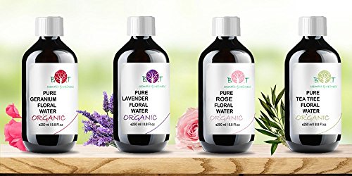 Agua Floral Puro Ecológico Hidrolato de Rosa ORGÁNICO Piel Sensible/Piel Madura 1000 ml