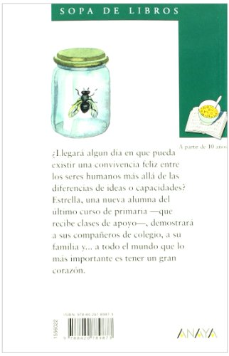 Alas de mosca para Ángel (LITERATURA INFANTIL (6-11 años) - Sopa de Libros)