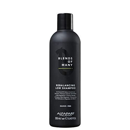 Alfaparf Blends Of Many Rebalancing Low Shampoo 250ml - Suave Champù Anticaspa