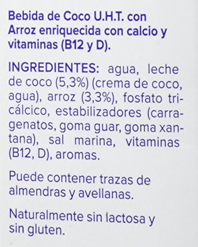 Alpro Central Lechera Asturiana Bebida de Coco con Arroz - Paquete de 6 x 1000 ml - Total: 6000 ml