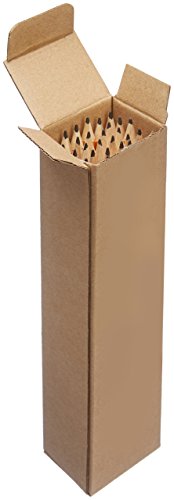 AmazonBasics - Lápices n.º 2 HB de madera, afilados, Pack de 30