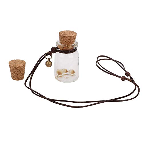 Ambientador de aire para aceites esenciales con flor vacía colgante botella auto espejo retrovisor colgante coche botella de perfume