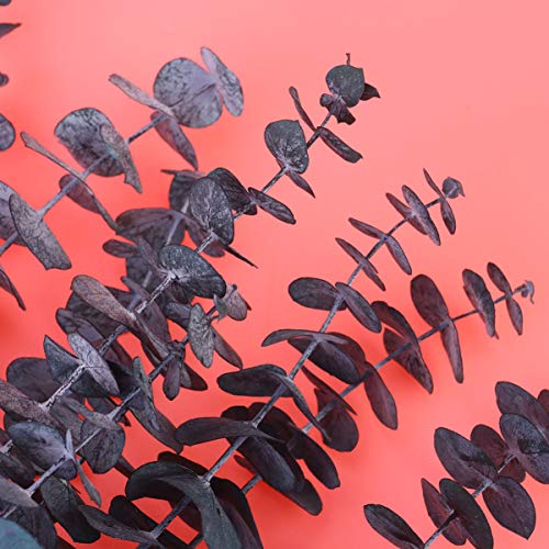 Amosfun 10 Piezas de Ramas de Eucalipto Secas Naturales Flores Secas Recoge Hojas de Hojas Verdes Tallos para La Boda de Flores Decoloración de Escritorio Azul Verde L