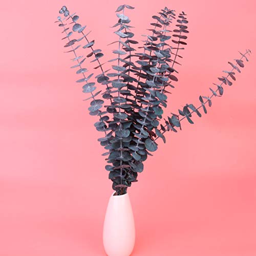 Amosfun 10 Piezas de Ramas de Eucalipto Secas Naturales Flores Secas Recoge Hojas de Hojas Verdes Tallos para La Boda de Flores Decoloración de Escritorio Azul Verde L