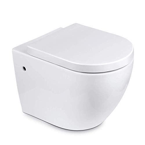 Amzdeal Tapa y Asiento para inodoro Universal Tapa WC Cierre Lento Suave Mudo Tapa de Inodoro con Desmontaje Rápido / D-Forma Duroplast