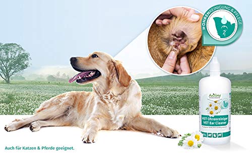 AniForte Limpiador de oídos con manzanilla 250ml para perros, gatos y caballos – Suave limpieza de oídos, cuidado natural para la picazón, inflamación, infección, secreción, sin alcohol