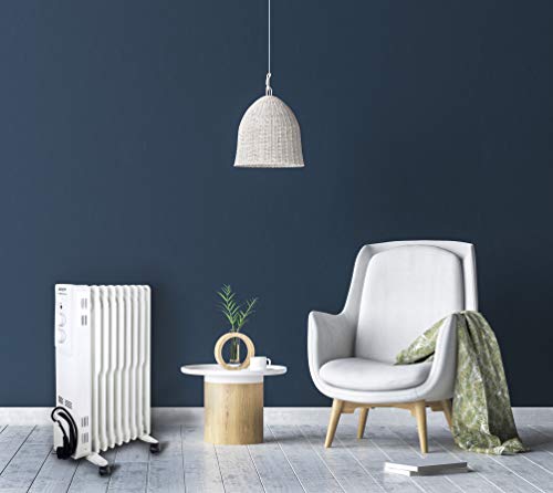 ARGO 191150020 Radiador de aceite Mineral diatérmico, Color blanco