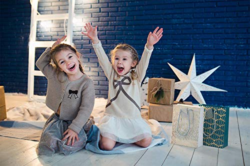 Arteza Bolsas de regalo | 24 x 17.8 x 8.6 cm | 16 bolsas surtidas | 5 diseños originales de láminas metálicas | 10 bolsas en papel blanco + 6 en papel azul (2 de cada estilo)