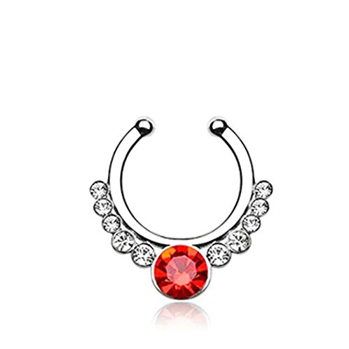 AueDsa 1 PCS Piercing de Acero Inoxidable U Circonita Pendientes de Nariz Aro Plata Rojo