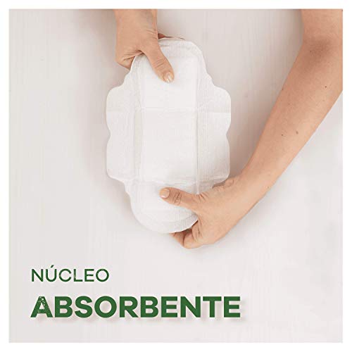 Ausonia Cotton Protection Normal (tamaño 1) Compresas Con Alas, 12, Capa Superior De Algodón 100 % Orgánico