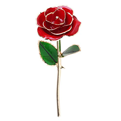 barsku Infinity - Rosa de Resina preservada y bañada en Oro de 24 Quilates, Ideal para mamá, Esposa, niña en cumpleaños, Navidad, día de San Valentín, día de la Madre, Aniversario